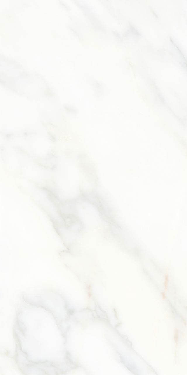 CA601201P / CA601201S